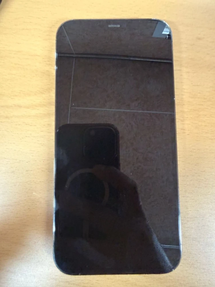 아이폰 12 프로 맥스 256GB 그래파이트 이미지