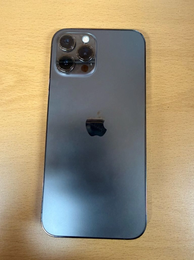 아이폰 12 프로 맥스 256GB 그래파이트 이미지