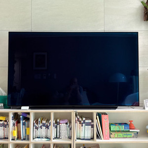 LG OLED65C9GNA 65인치 TV 이미지
