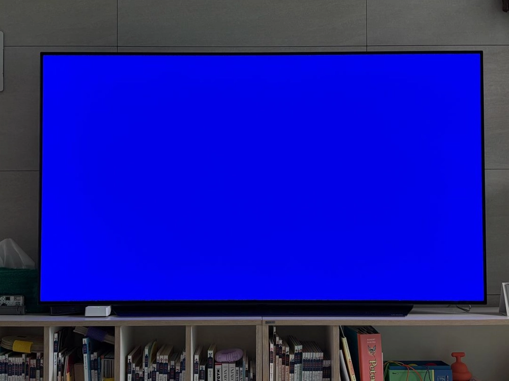 LG OLED65C9GNA 65인치 TV 이미지