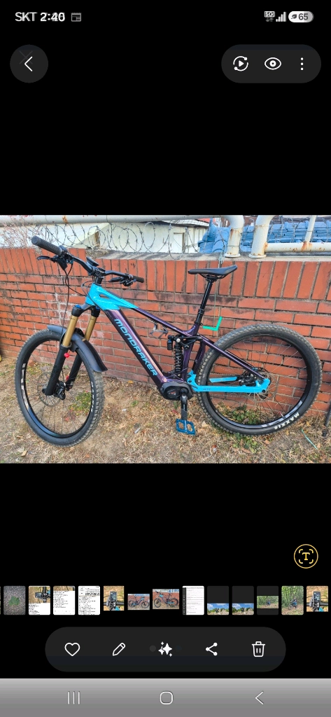 E- MTB 몬드레이커 이미지