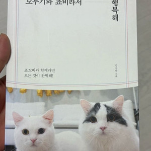 꼬부기와 쵸비라서 행복해 에세이 이미지