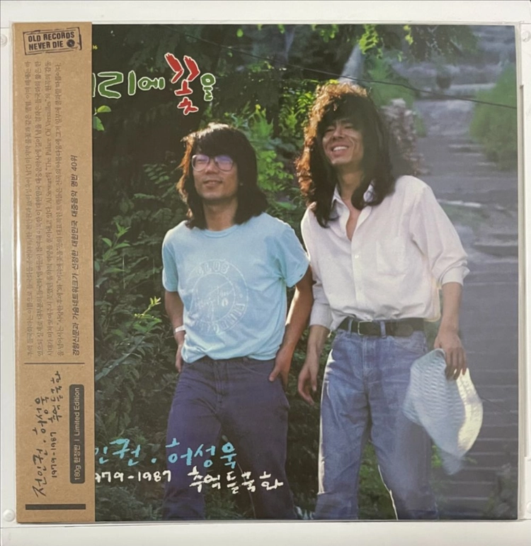 이상은 & 들국화 LP 이미지