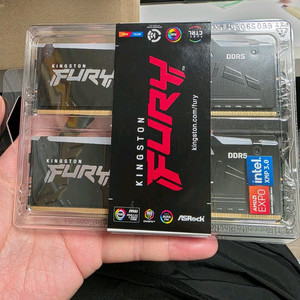 킹스톤 FURY DDR5 6000 CL30 Beast RGB 32GB(16GBx2) 블랙 이미지