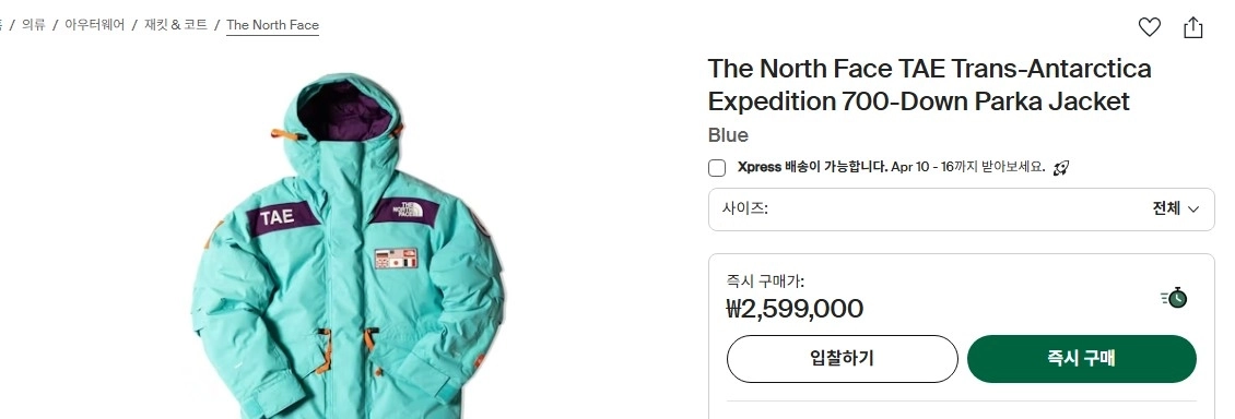 노스페이스 trans antartica expedition parka (TAE) 패딩 이미지
