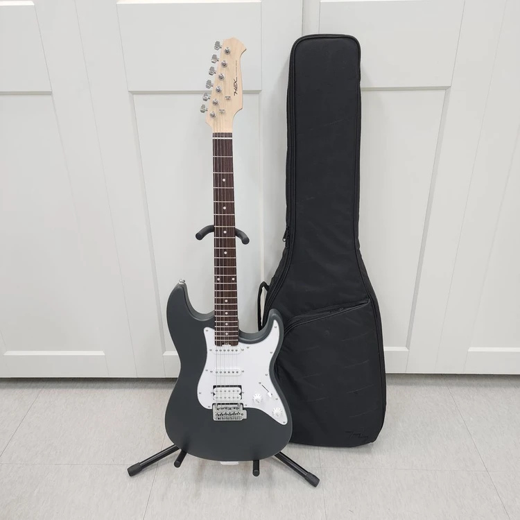 헥스 스트랫 일렉기타 E100 STD SG - 안심되는 중고거래