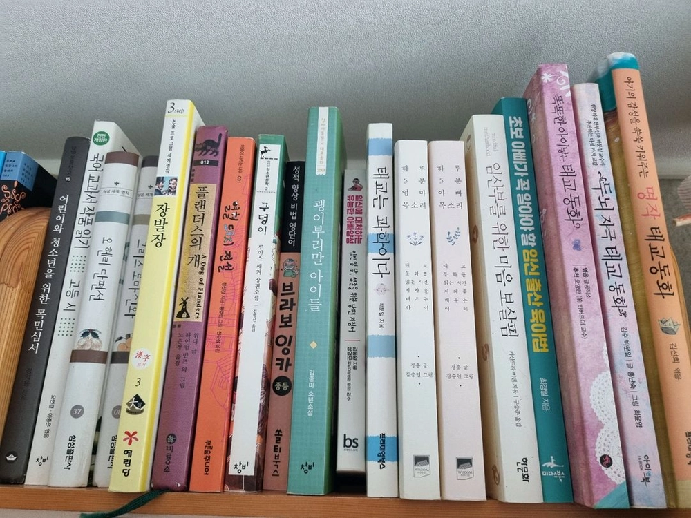 다양한 책 육아서적 임신출산 청소년 에세이 문고 시집 소설 요리책 헌책 이미지