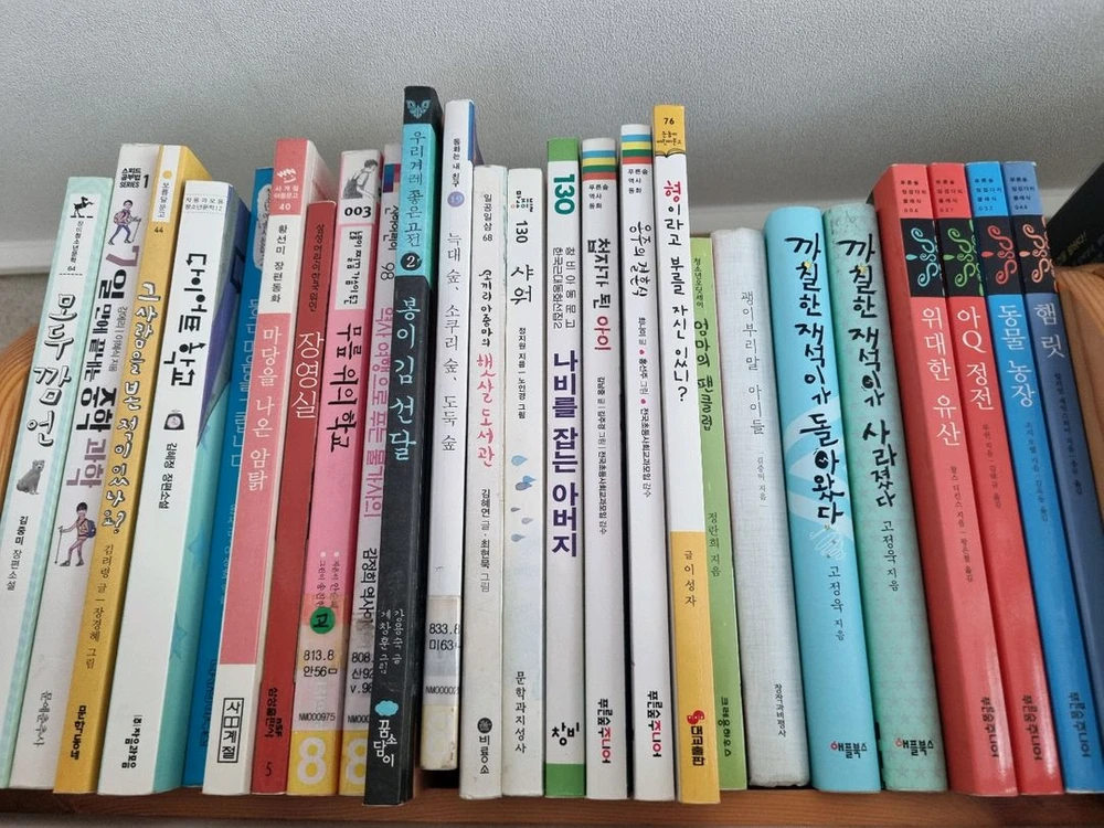 다양한 책 육아서적 임신출산 청소년 에세이 문고 시집 소설 요리책 헌책 이미지