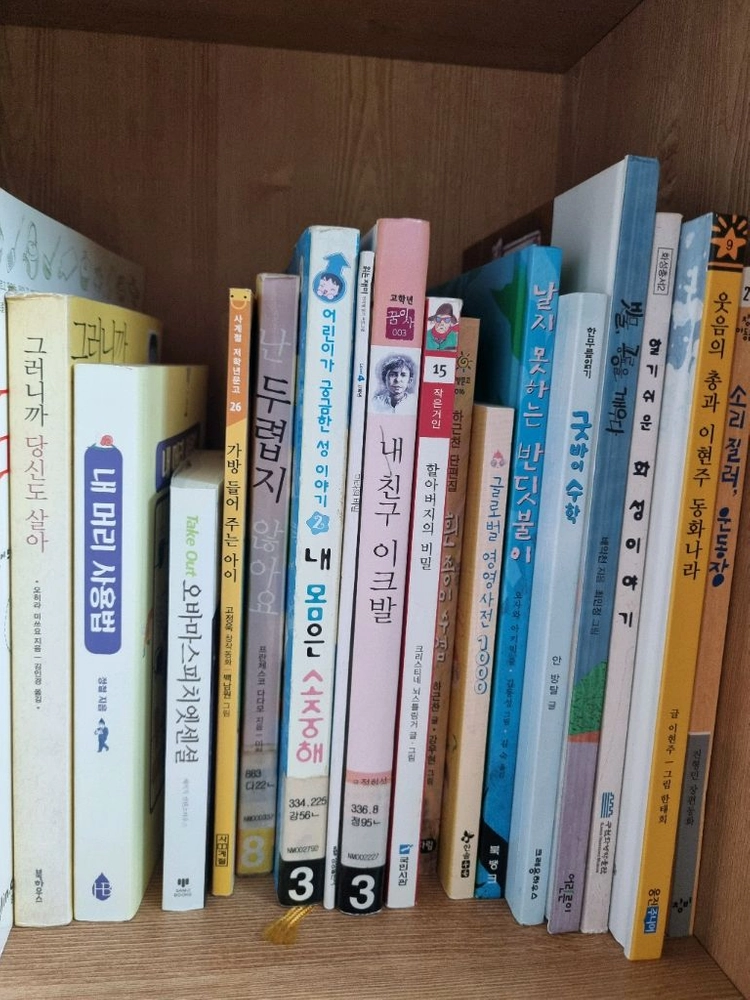 다양한 책 육아서적 임신출산 청소년 에세이 문고 시집 소설 요리책 헌책 이미지