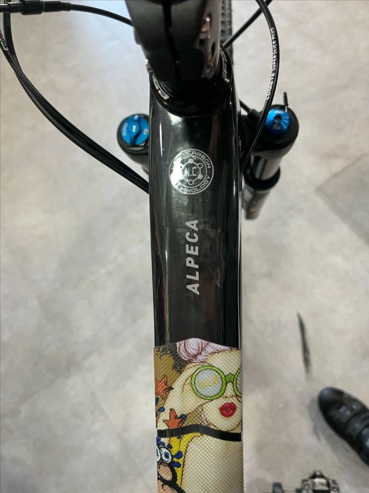 위아위스 알페카 풀카본 MTB 자전거 이미지