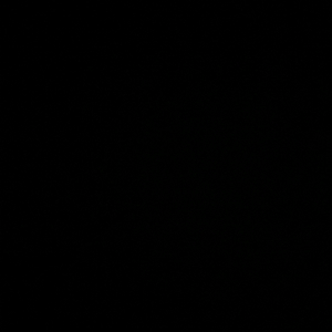 알로항 100 1.1 이미지