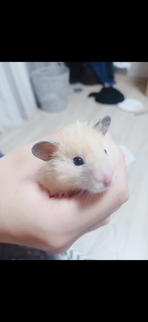 프로필 이미지