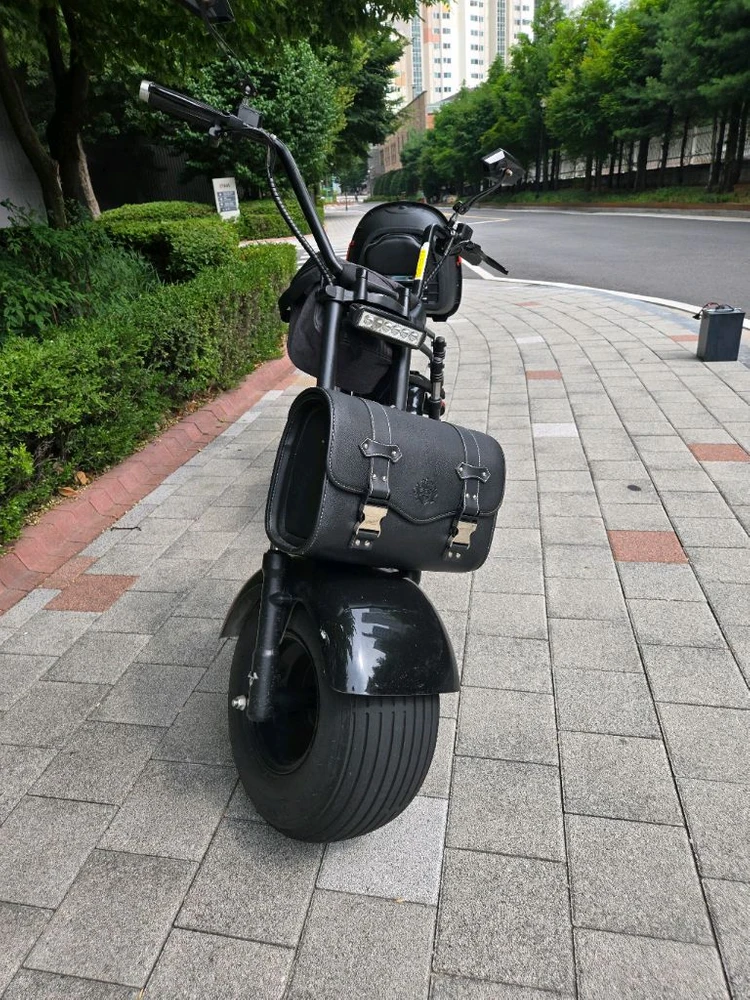 할리 전기 스쿠터 - 안심되는 중고거래