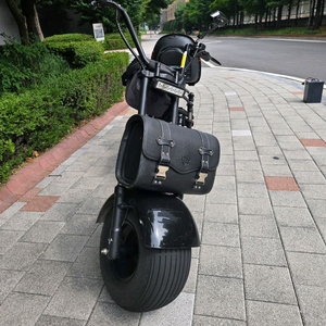 할리 전기 스쿠터 이미지