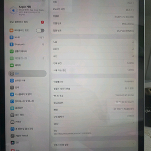 아이패드프로4세대 1테라 와이파이 이미지