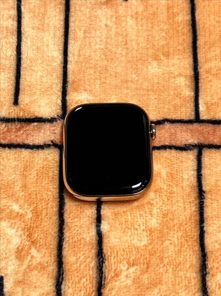 애플워치 10 46mm 골그 티타늄 gps,셀룰러 모델 이미지