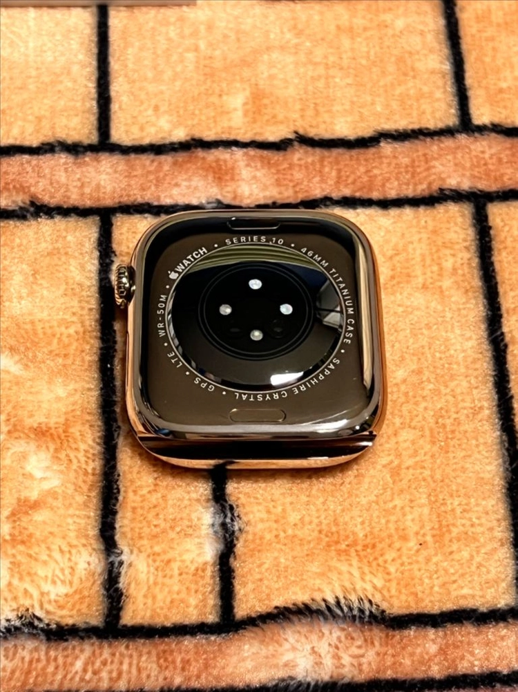 애플워치 10 46mm 골그 티타늄 gps,셀룰러 모델 이미지