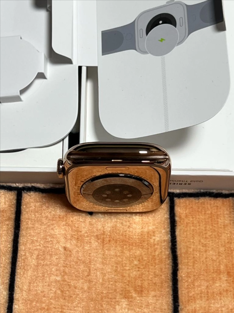애플워치 10 46mm 골그 티타늄 gps,셀룰러 모델 이미지