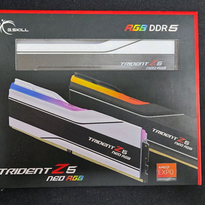 [RAM] 지스킬 DDR5-6400 CL32 TRIDENT Z5 NEO RGB 화이트 48GB (24GB x 2) 이미지