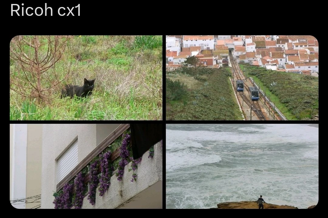 리코 CX1 빈티지 디카 이미지