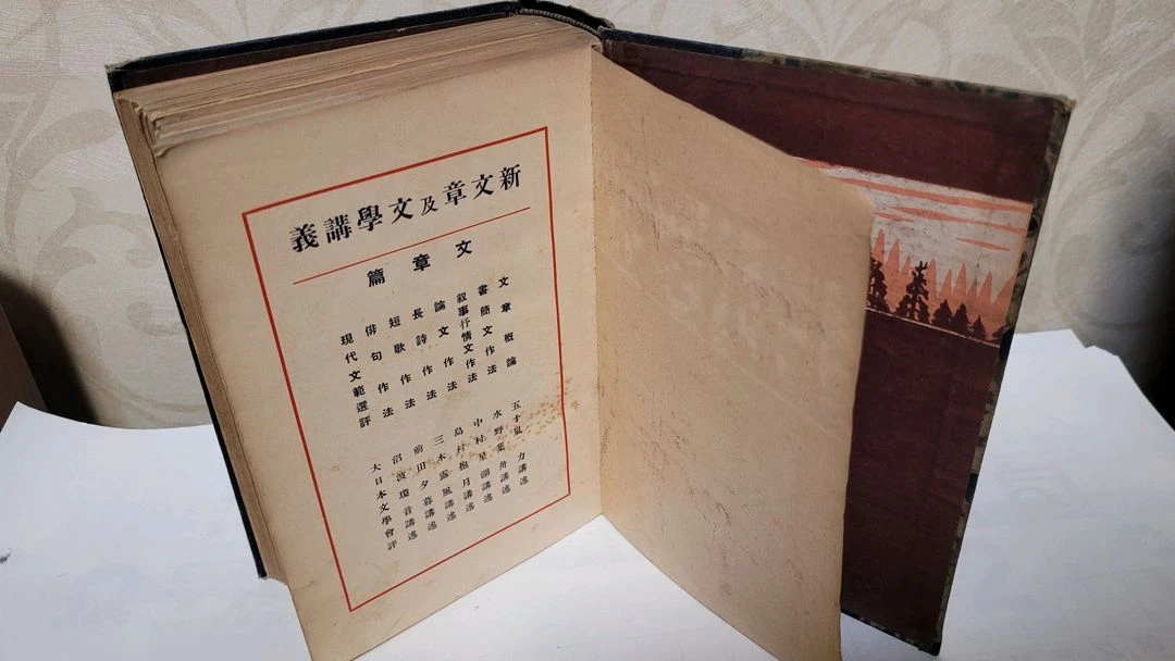(일본 문학도서) 신문장 급 문학강의 대정13년 이미지