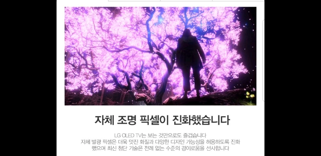 LG OLED65G1 65인치 올레드 TV 특가한정 이미지