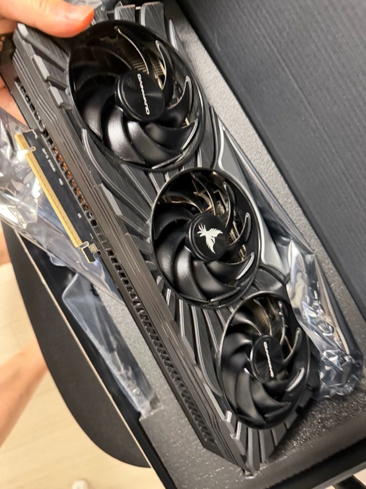 rtx5080 개인워드 피닉스 이미지