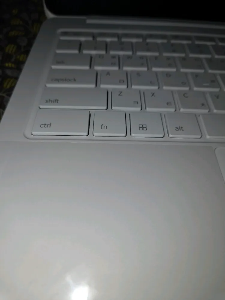 베이직스 노트북14 이미지