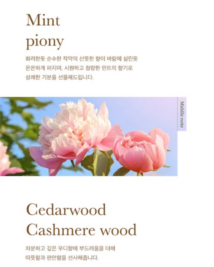 뱅네프 생토노레 세레니티 디퓨저 튤립부케 이미지