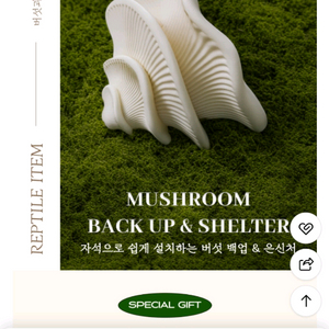 렙템 크레 게코 머쉬룸 버섯 백업 특대 은신처 이미지