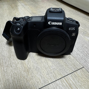 EOS R 바디, RF 24-105 F4 L렌즈, RF 35 F1.8, 픽디자인 슬링백 6L, 레오포토LY-224c 이미지