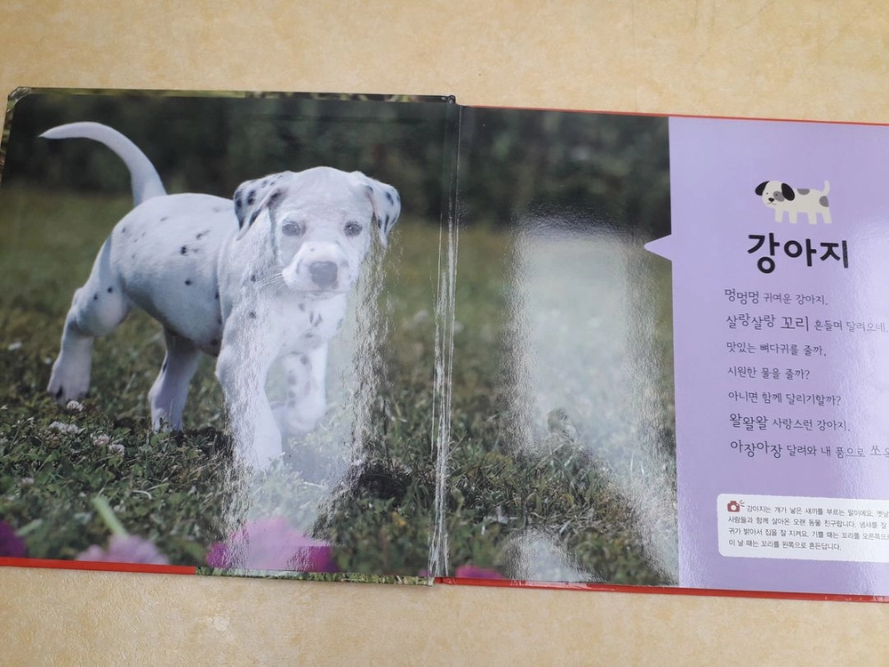 애플비 놀이책.보드북 시리즈 총 24권(자연관찰 5권+아이튼튼 11권+아기테마 8권) 이미지