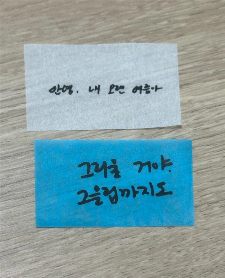아이유 팬콘 역조공 그립톡,다육이 세트 & 더위닝콘 부채 & 컨페티 5종 이미지