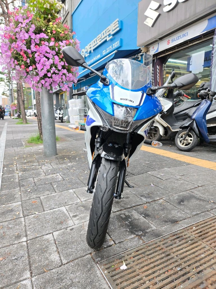 스즈키 GSX R125 25년식 화이트 중고 판매 이미지