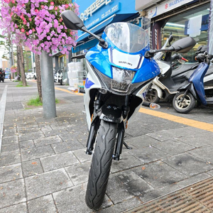 스즈키 GSX R125 25년식 화이트 중고 판매 이미지