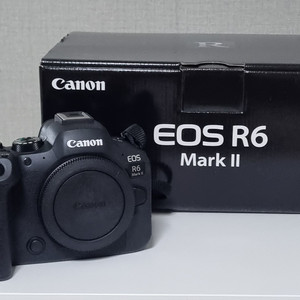 캐논 eos r6 mark2