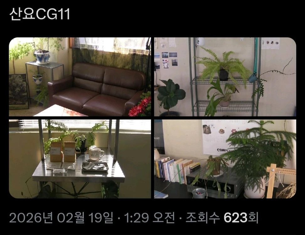 산요 작티 CG11 오렌지 핸디캠 디토 감성 디카 이미지
