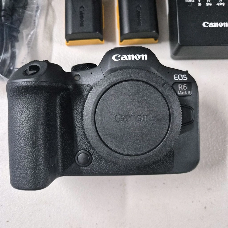 Cannon R6 Mark II 이미지