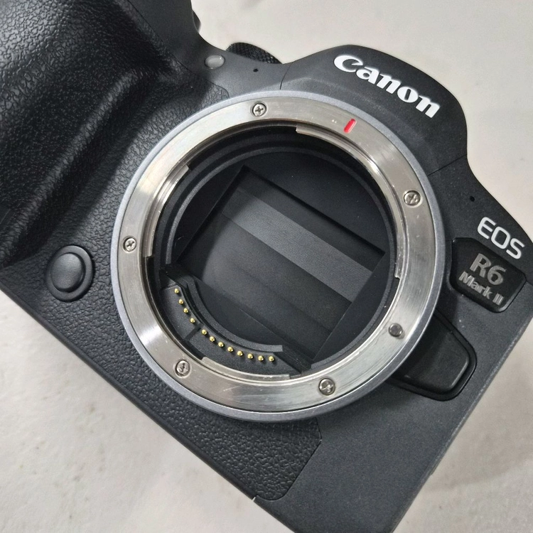 Cannon R6 Mark II 이미지