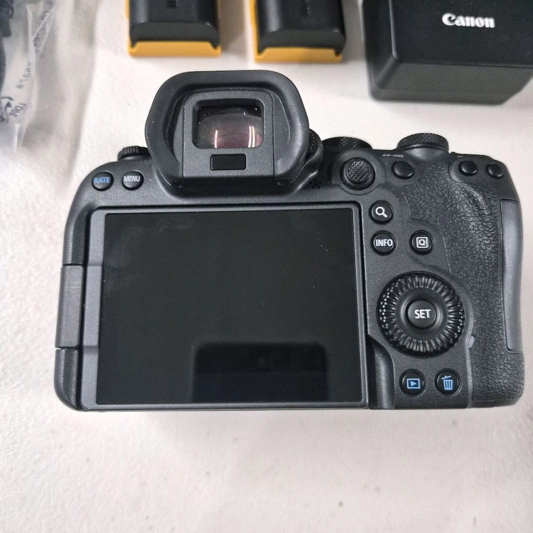 Cannon R6 Mark II 이미지