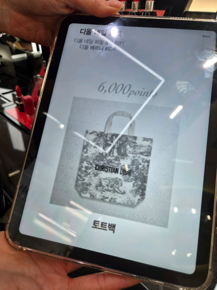 디올 트왈드주이 에코백 이미지