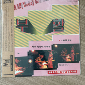 한정판 lp 판매 (윤종신 성시경 부활 바이브 djdoc djwegon 이날치 솔리드 이루펀트 벌새 폴킴 등) 이미지