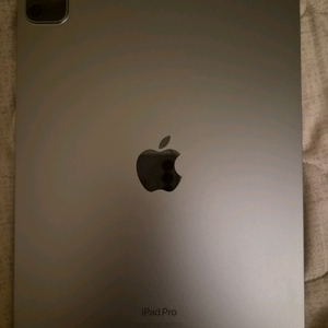 S급 Apple iPad Pro 4세대 m2 11인치+애플펜슬 2세대 이미지