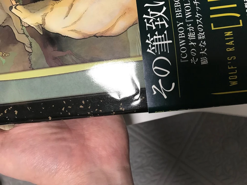 애니 울프스레인 카와모토 토시히로 아트북 화집 화보집 일러스트집 (애니 카우보이 비밥 애니메이터) 이미지