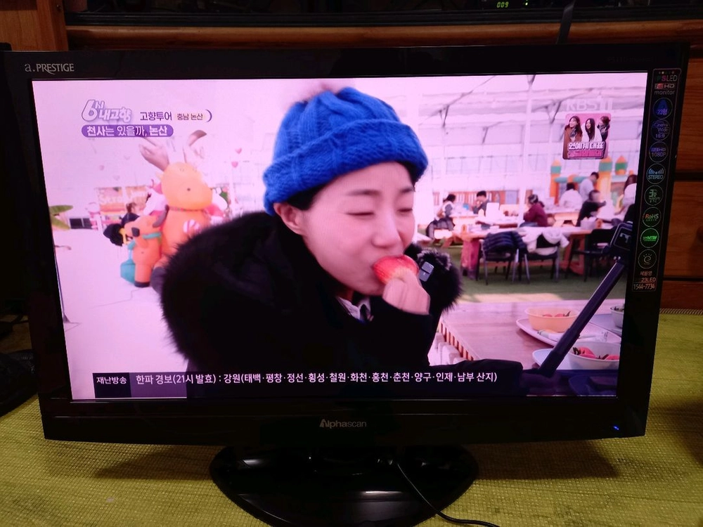 보림하이텍 TH230M,23인치TV 모니터 LED)본체 29900원 이미지
