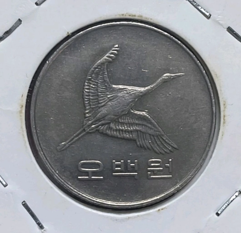 동전수집 1998년 500원 1981년 100원 구입합 이미지