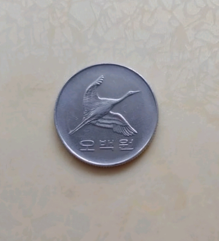동전수집 1998년 500원 1981년 100원 구입합 이미지