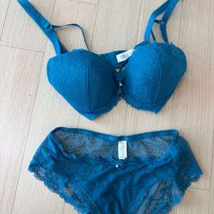 에블린 브라세트 70D 이미지