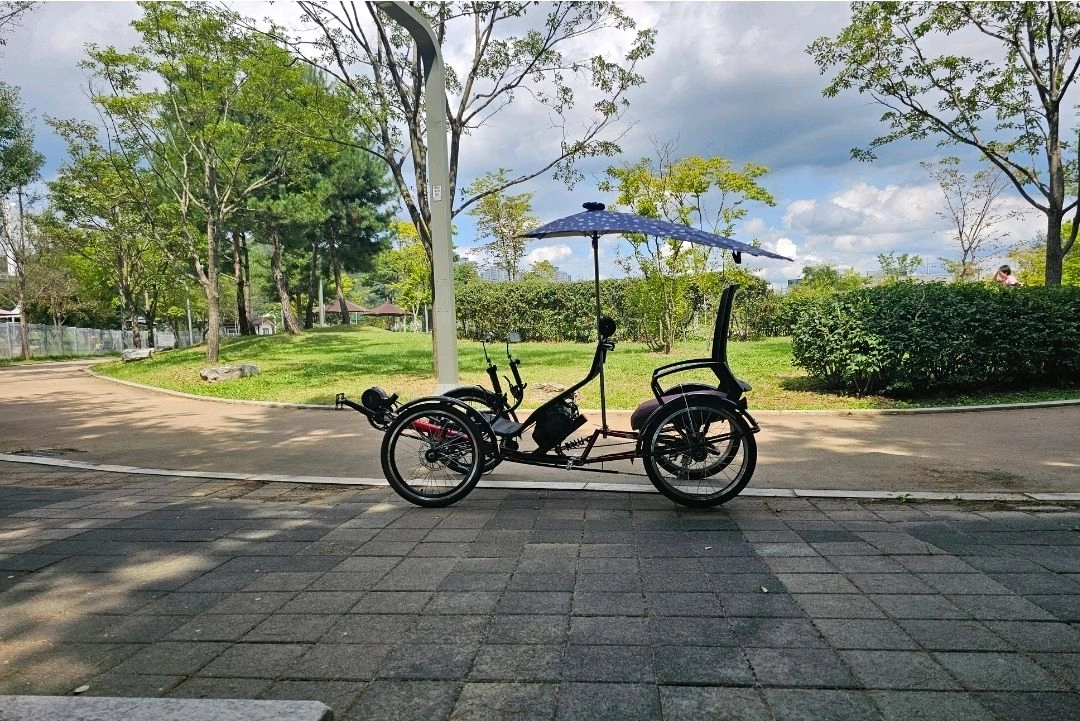 2인승 사륜 전기자전거(리컴번트) - 안심되는 중고거래