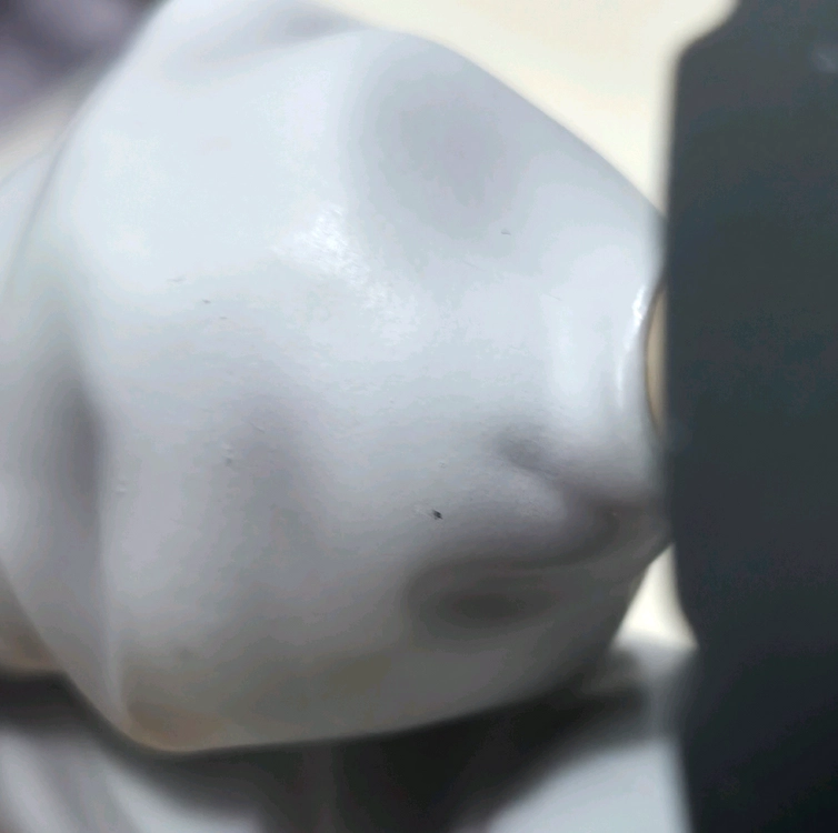 주술회전 후시구로 토우지 세가 루미나스타 피규어 이미지
